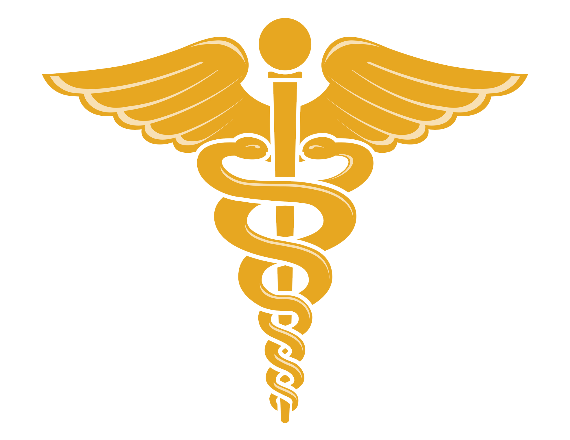 Doctor Symbol Caduceus Png File PNG Image