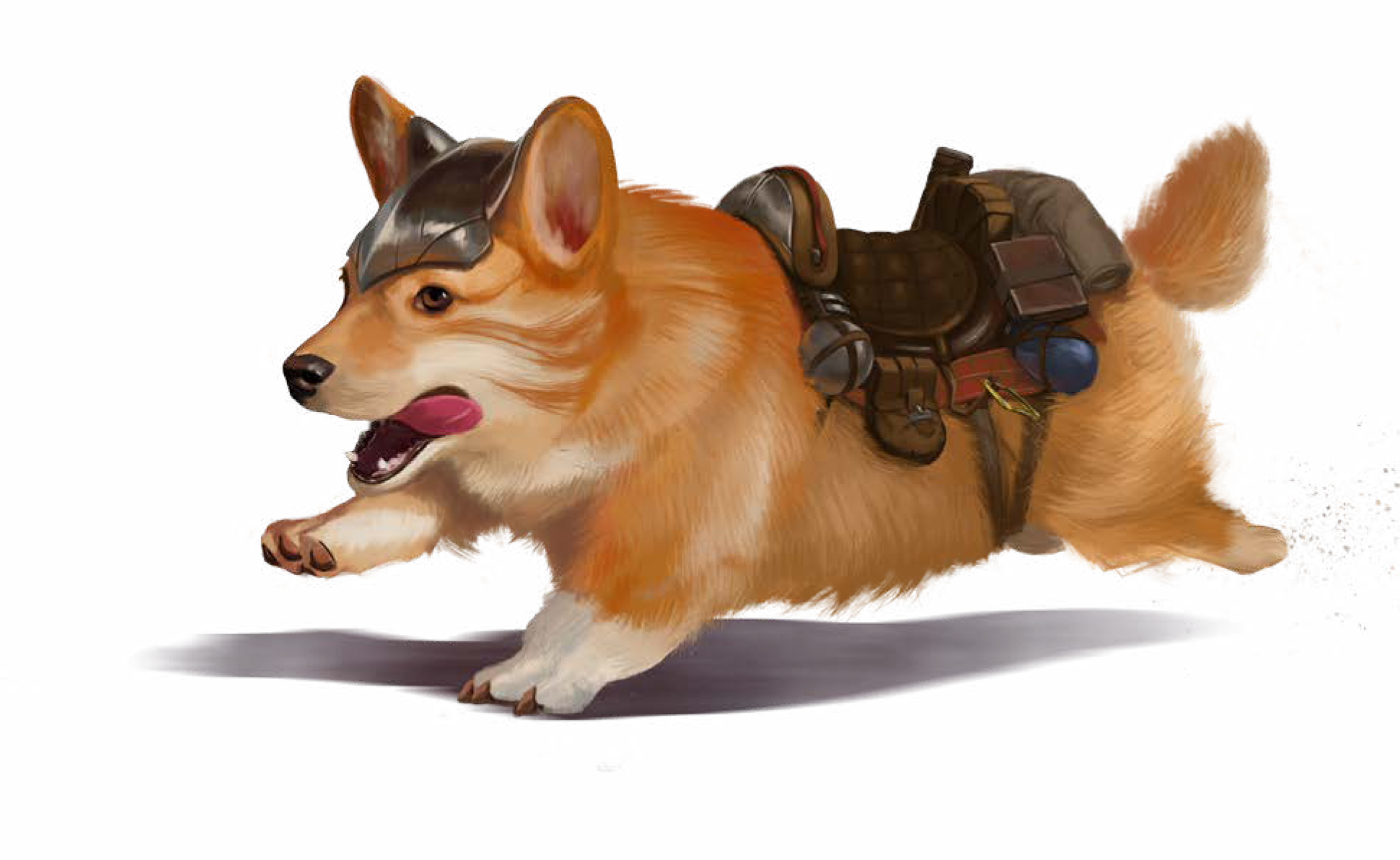 Corgi Free Transparent Image HD PNG Image