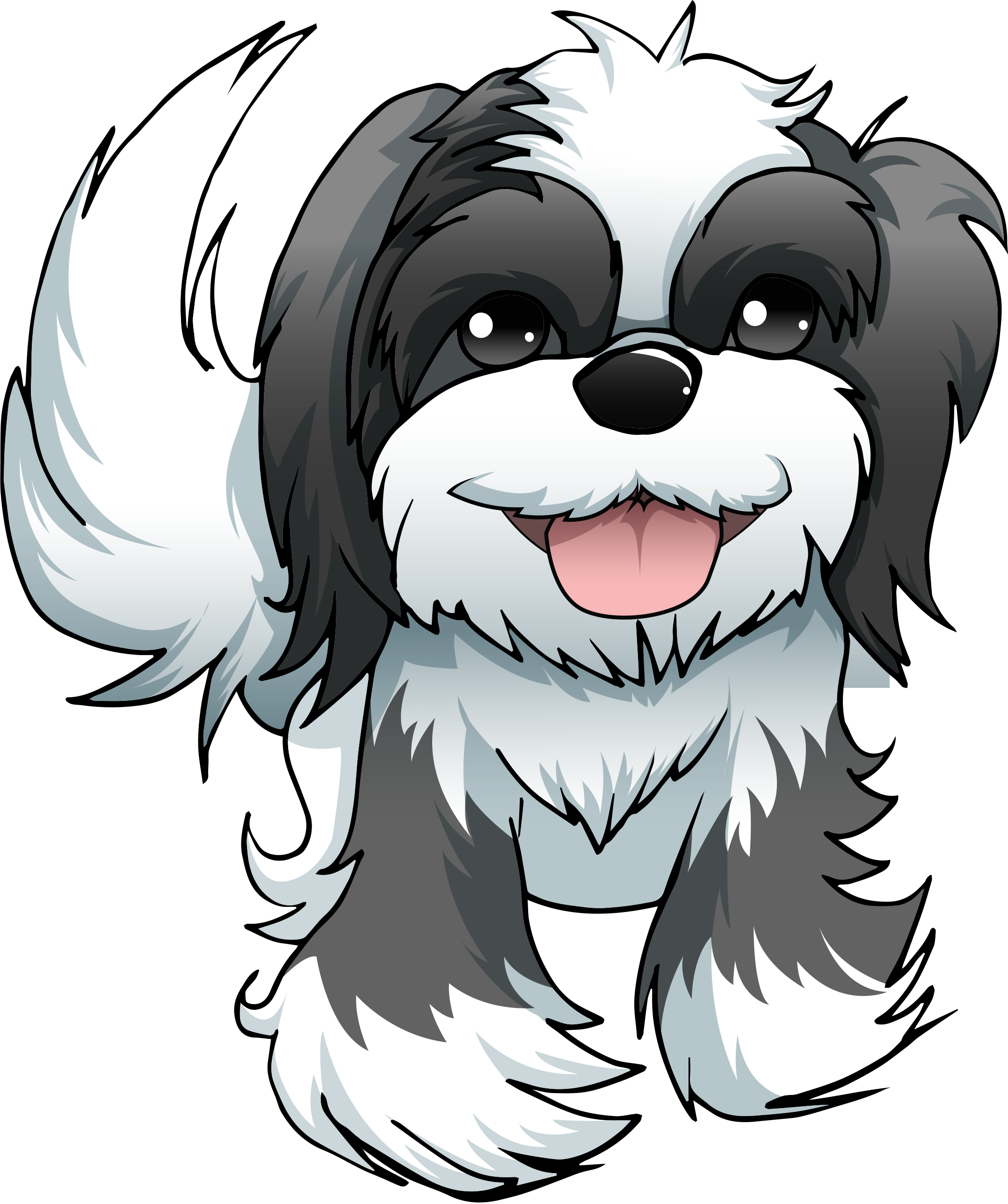 Shih Pic Tzu Free HQ Image PNG Image