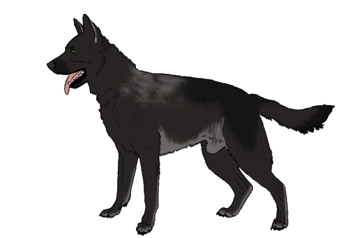 Vector Black Dog Download Free Image PNG Image