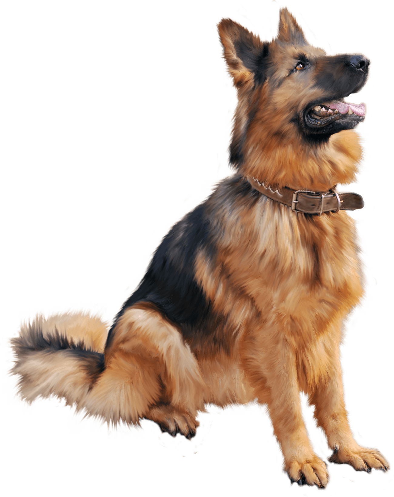 Dog Png Image PNG Image