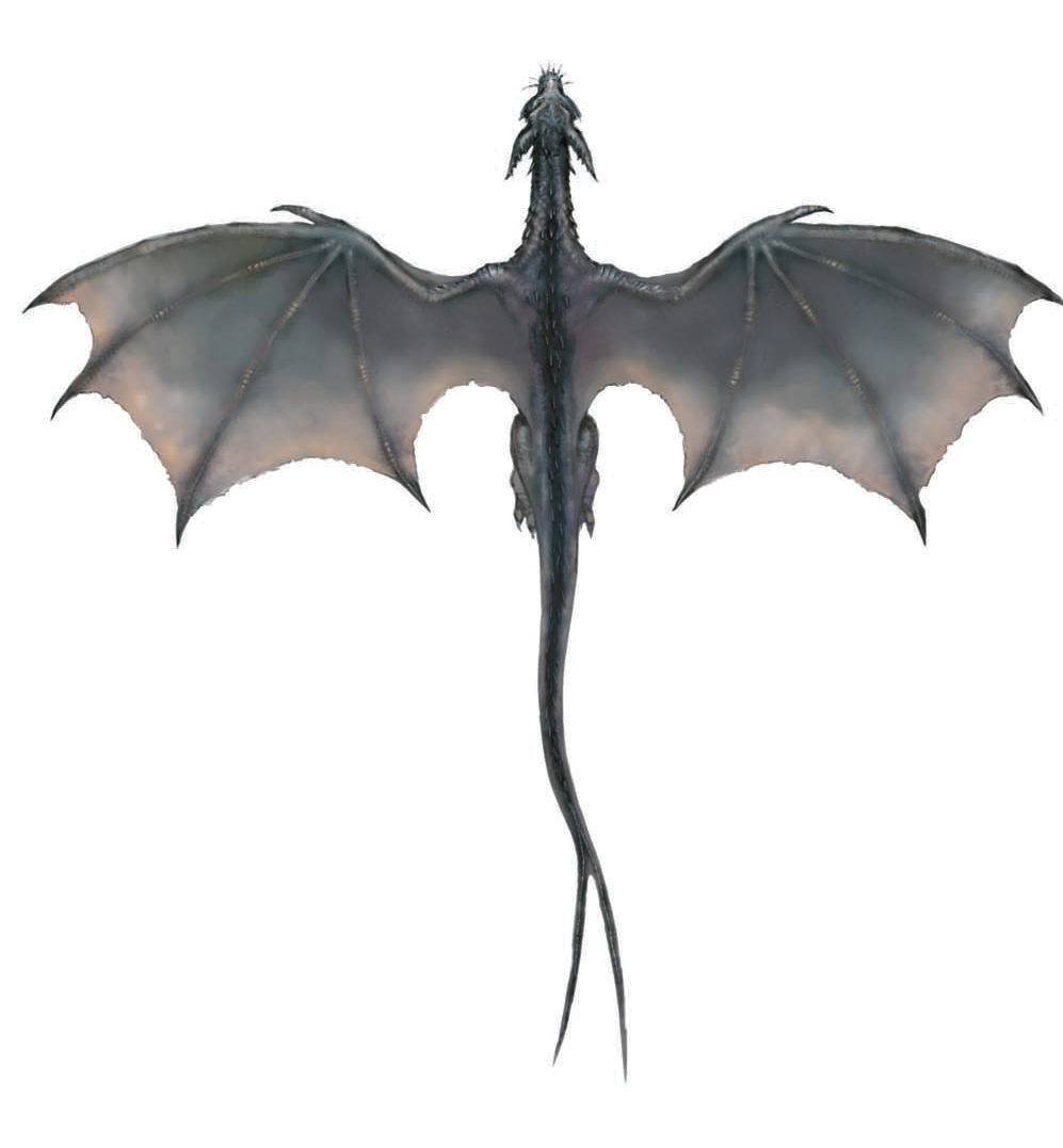 Flying Dragon Transparent PNG Image