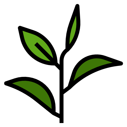 Tea Leaves Green Stem Free HQ Image PNG Image