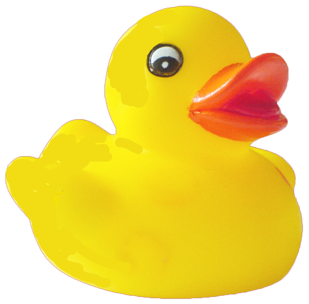 Duck PNG Image