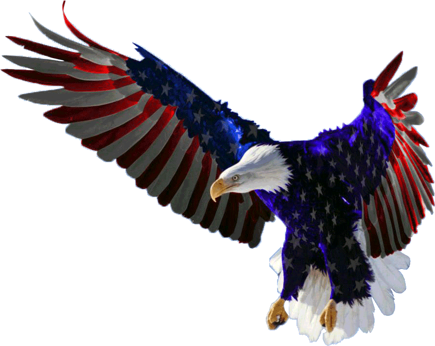 Eagle American Free Transparent Image HD PNG Image