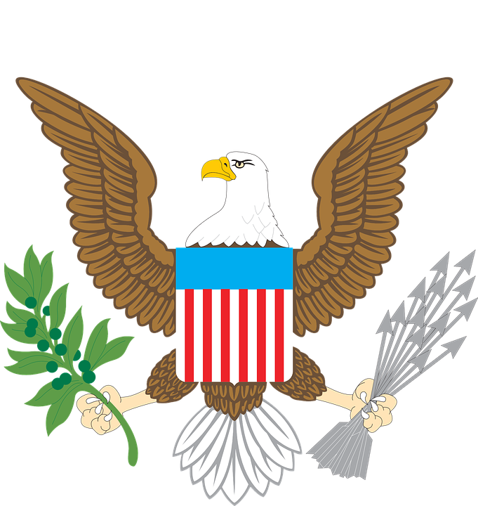 Eagle American Pic Free Download PNG HQ PNG Image