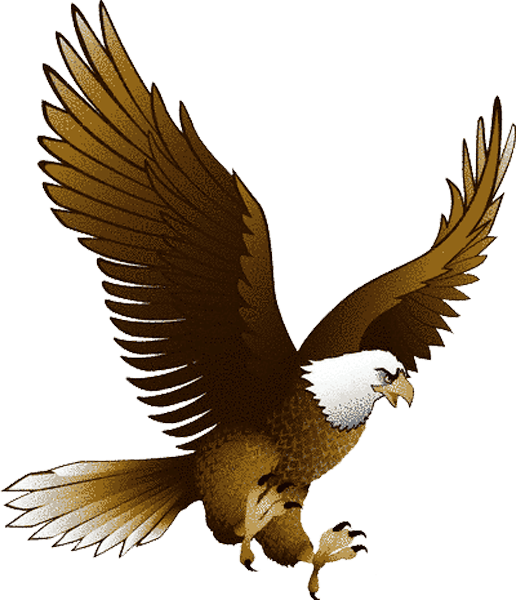 Eagle Png Image With Transparency Download PNG Image