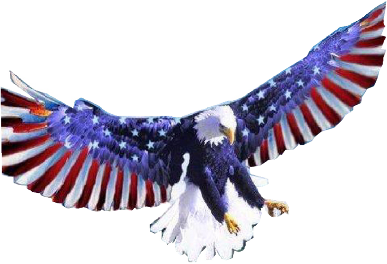 Eagle American Free Download PNG HD PNG Image