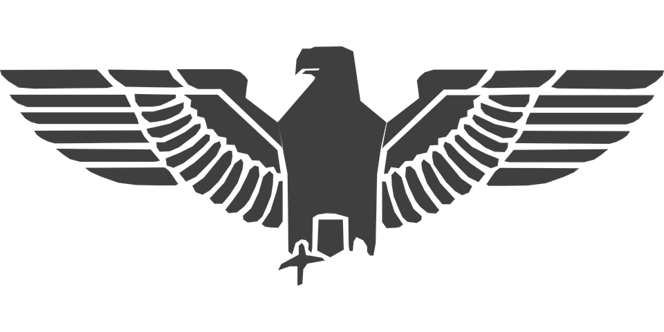 Eagle Symbol Transparent PNG Image