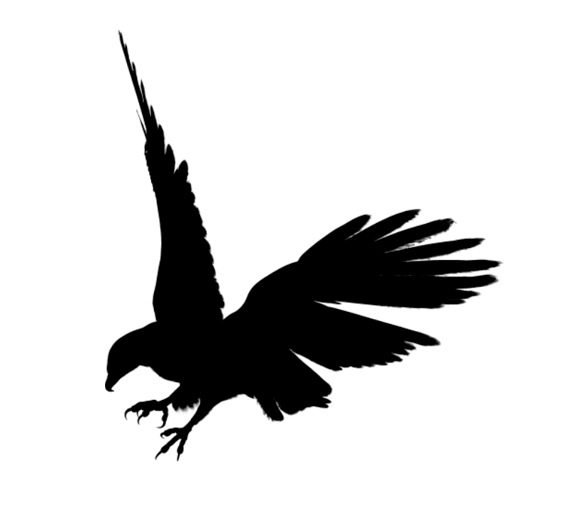 Eagle Black Siluet Png Image Download PNG Image