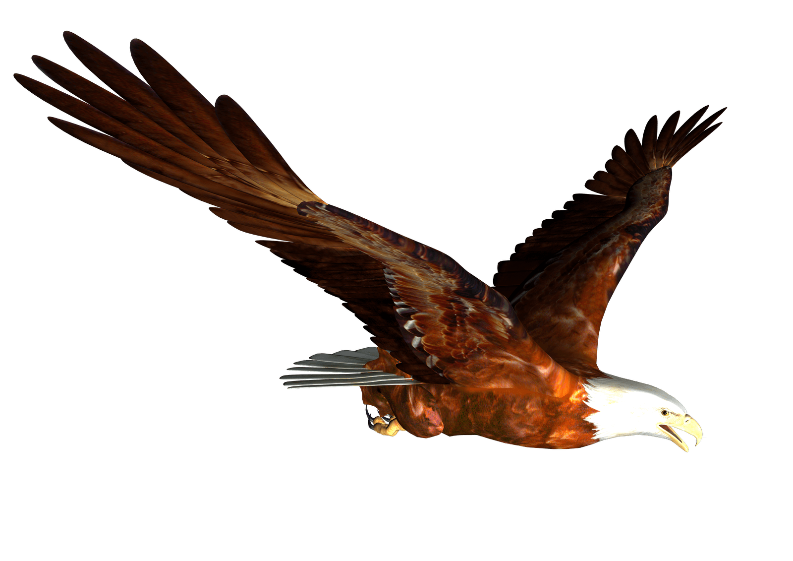 Flying Eagle Png Image Download PNG Image