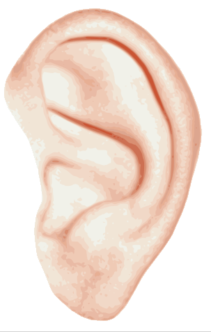 Ear Png Image PNG Image
