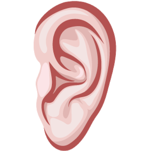 Picture Ear Vector Free PNG HQ PNG Image