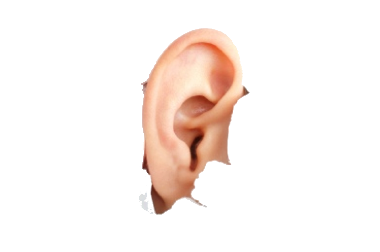 Human Ear Image PNG Image