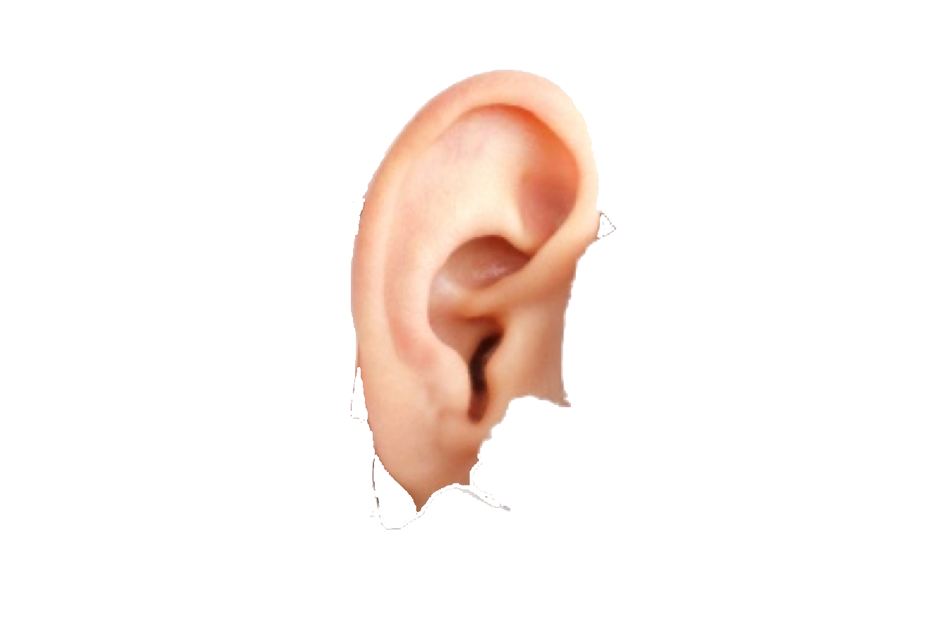 Ear Free Download Png PNG Image