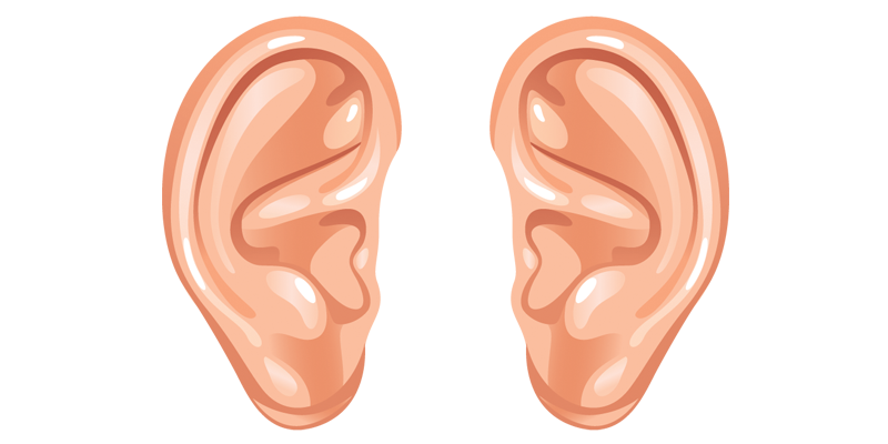 Ear Download Png PNG Image