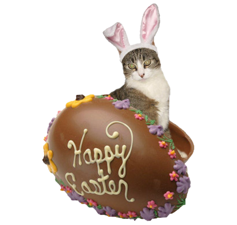 Easter Bunny Chocolate Free Clipart HD PNG Image