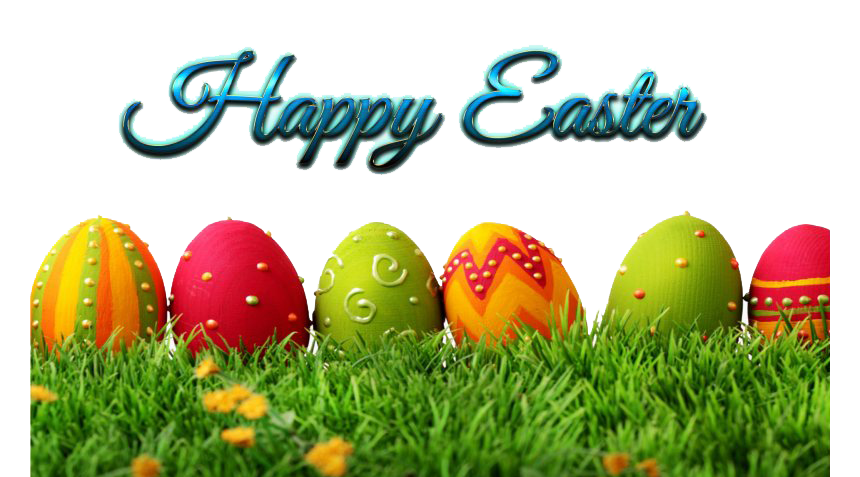Egg Grass Easter Free Photo PNG Image