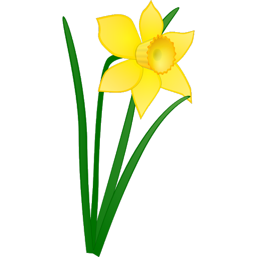 Flower Easter Free Photo PNG Image