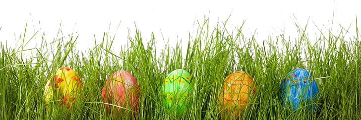 Egg Grass Easter PNG Free Photo PNG Image