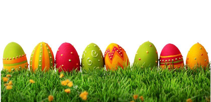 Egg Grass Easter Picture Free Transparent Image HD PNG Image