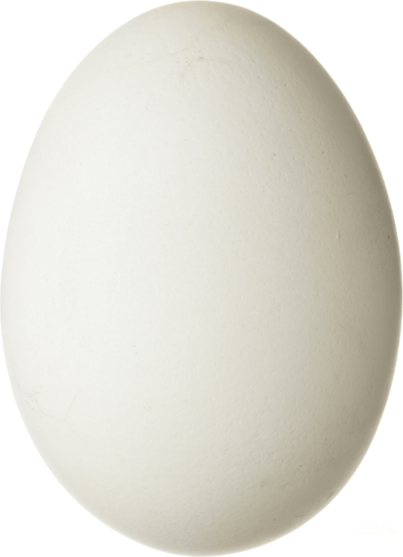 Egg Png Image PNG Image