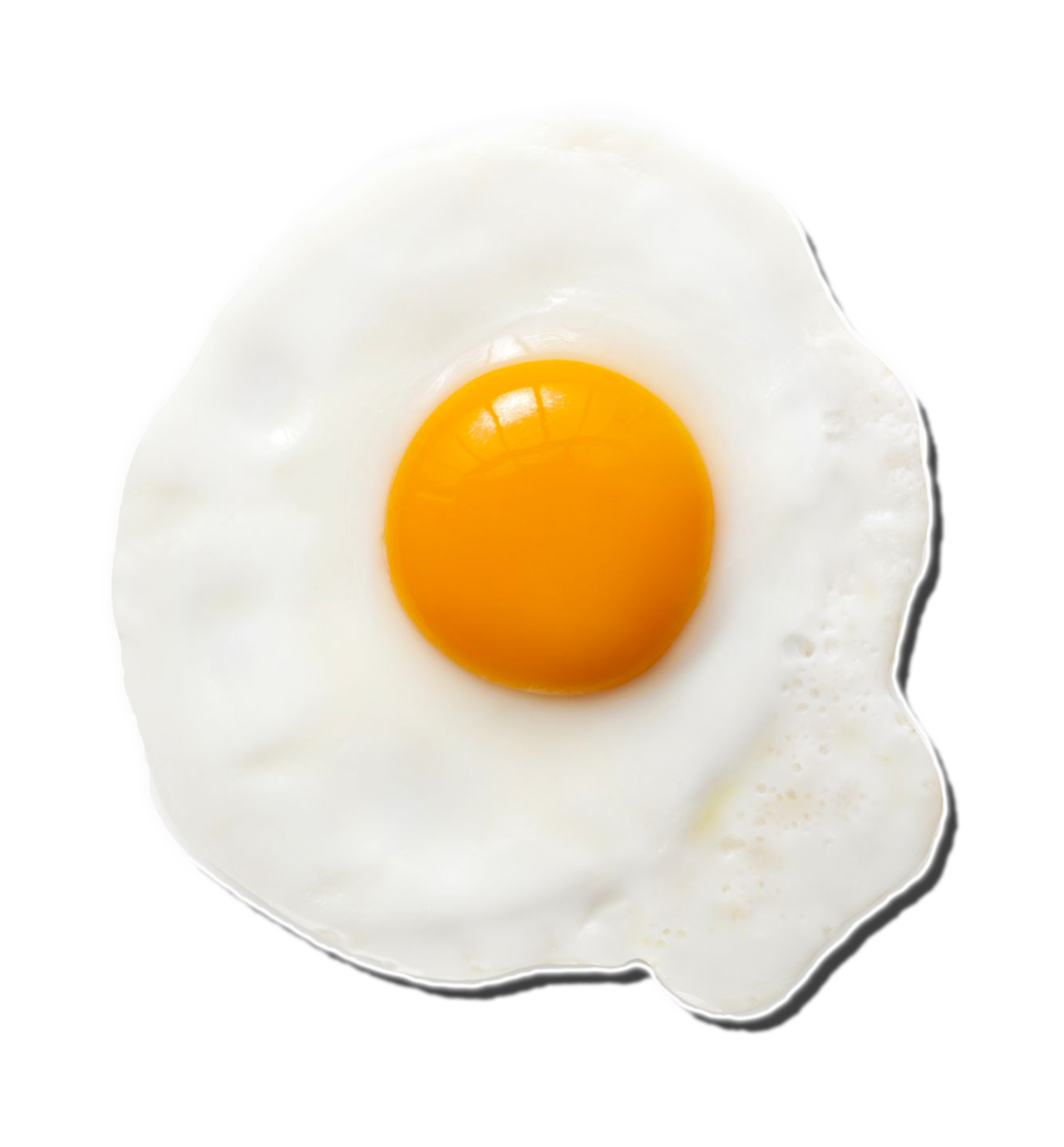 Egg Fried Crispy Free Download Image PNG Image