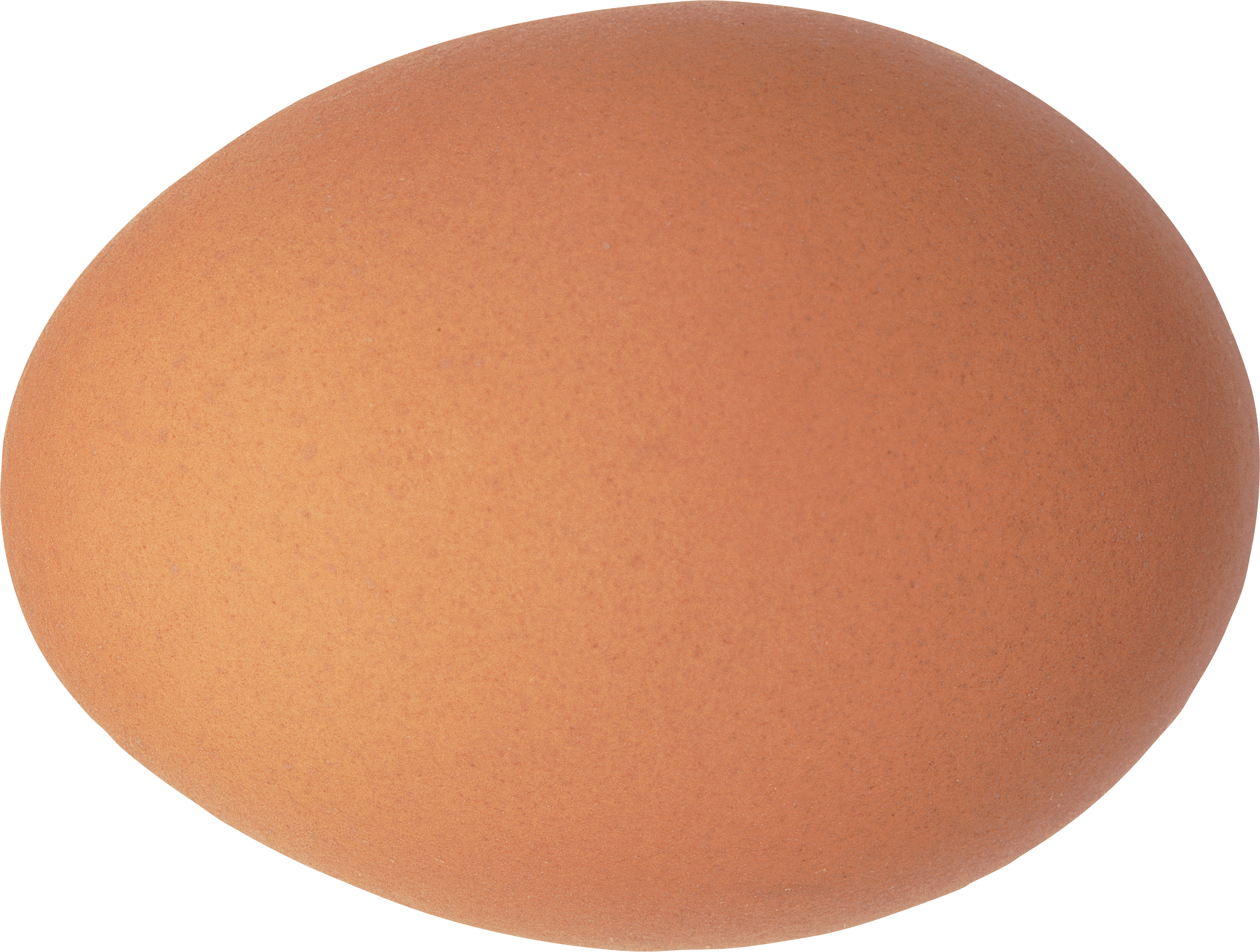 Egg Png Image PNG Image