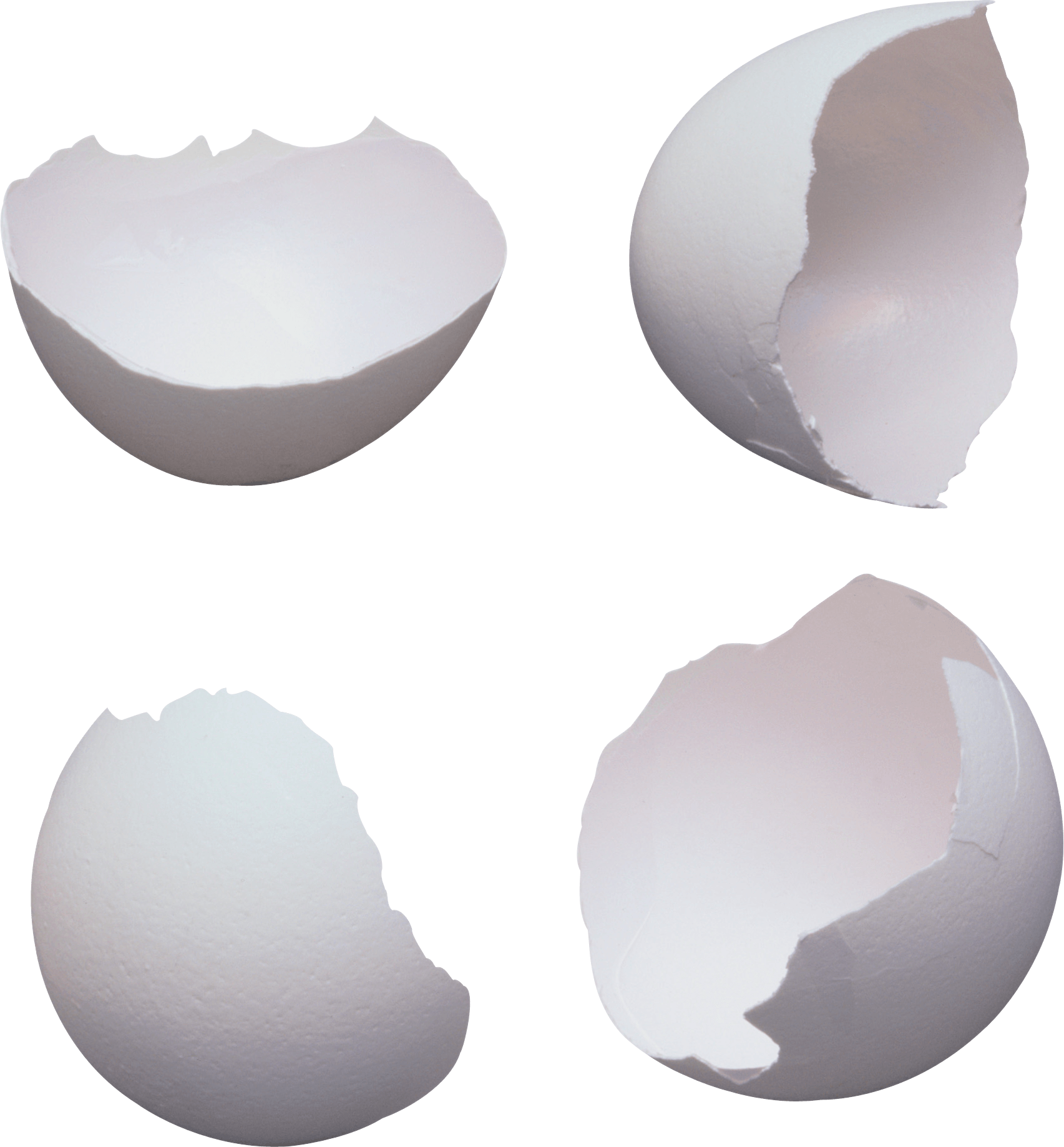 Cracked Egg Png Image PNG Image