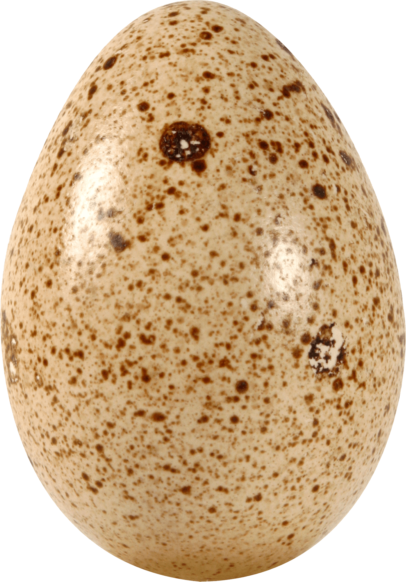 Egg Png Image PNG Image