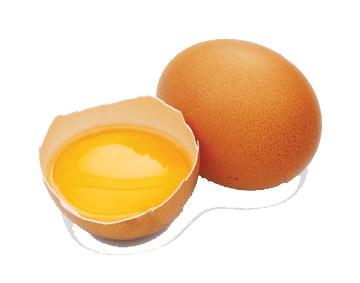 Cracked Egg Png Image PNG Image