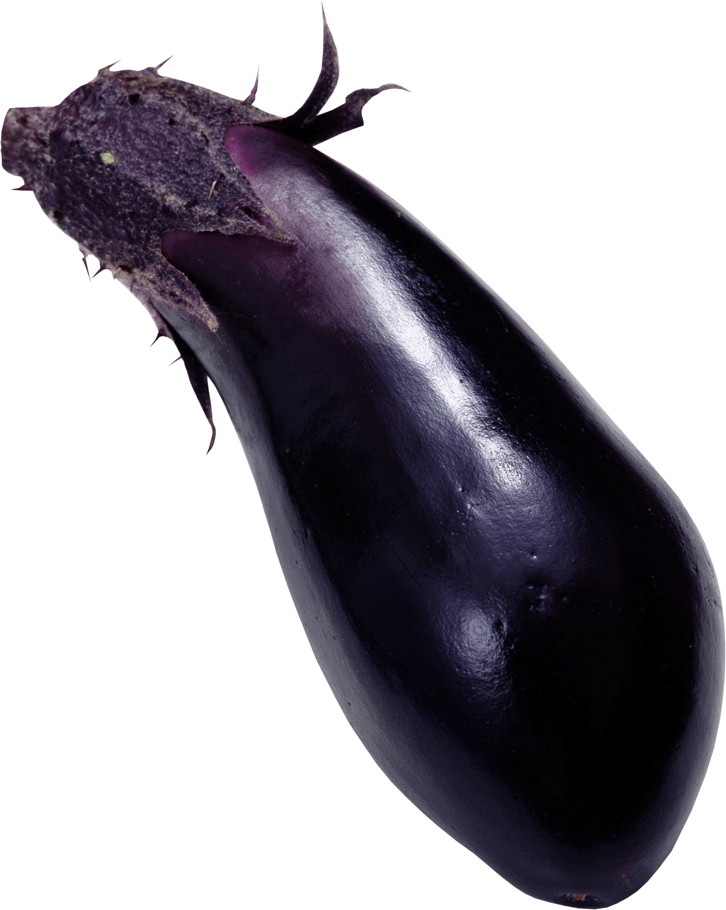 Eggplant Png Images Download PNG Image