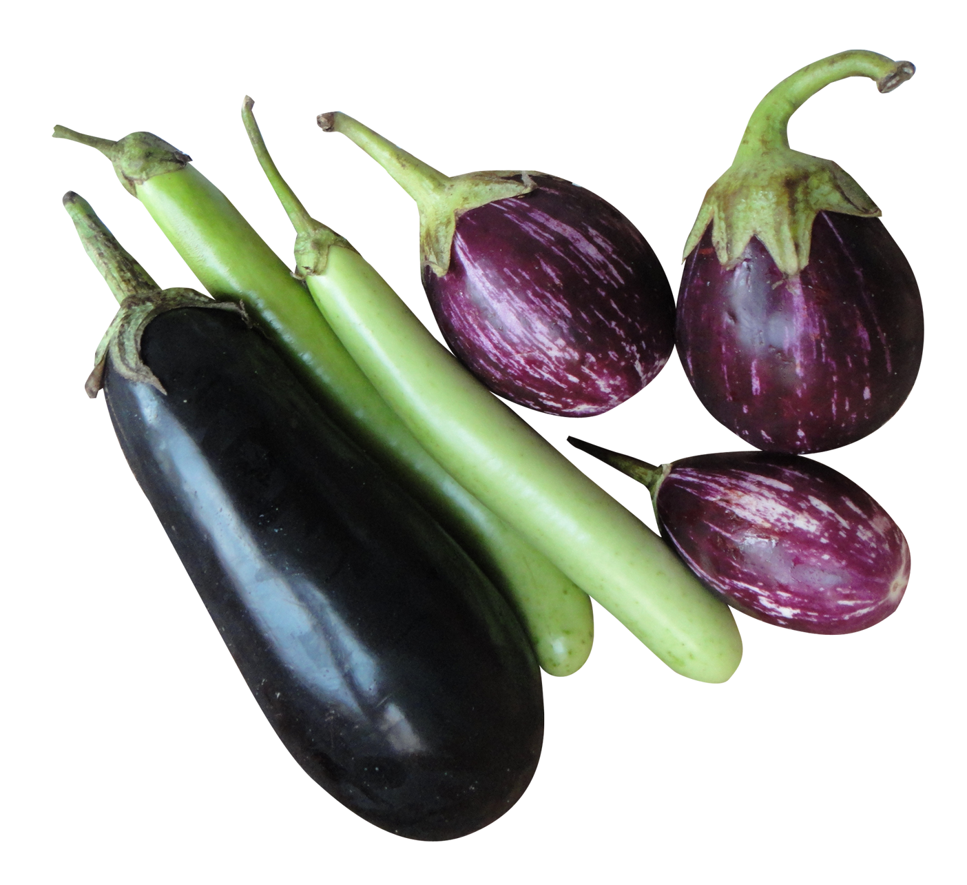 Brinjal Eggplant Free HQ Image PNG Image