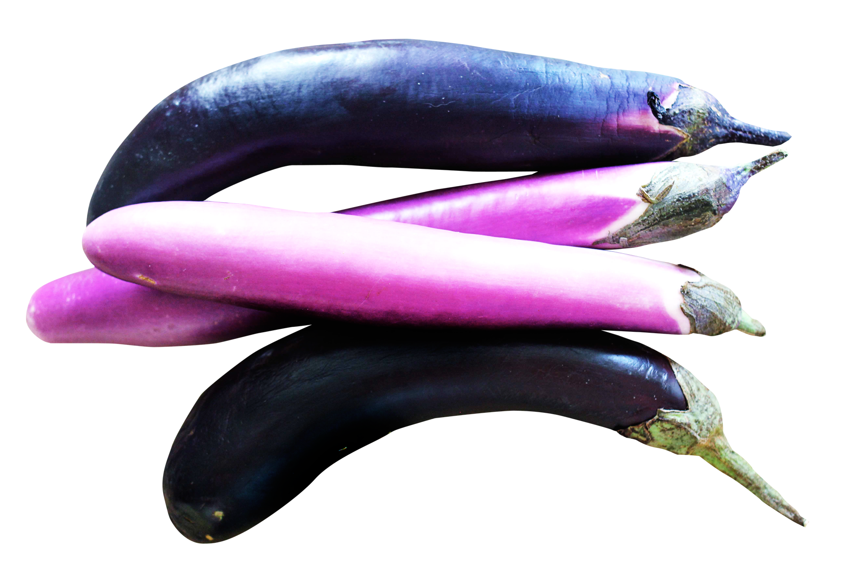 Brinjal Eggplant Bunch Free Download PNG HD PNG Image