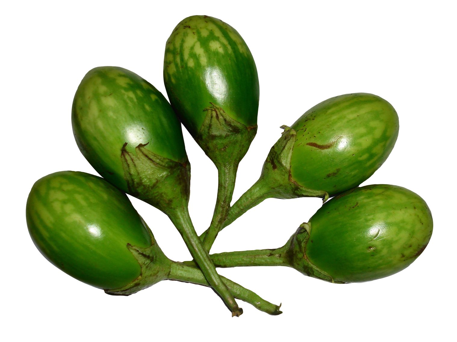 Photos Brinjal Eggplant Bunch Free Photo PNG Image