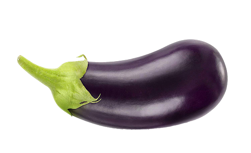 Single Pic Brinjal Eggplant HQ Image Free PNG Image