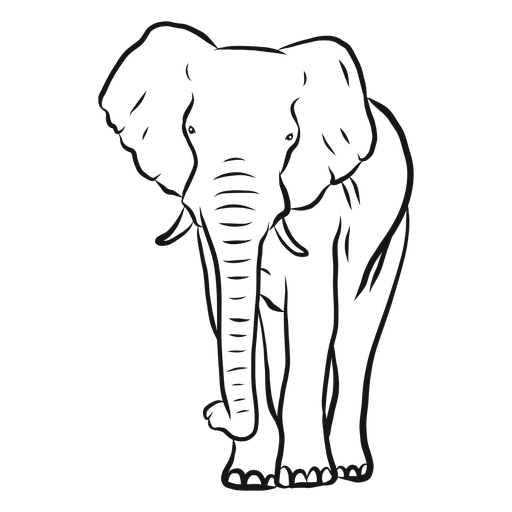 Vector Elephant Download HD PNG Image