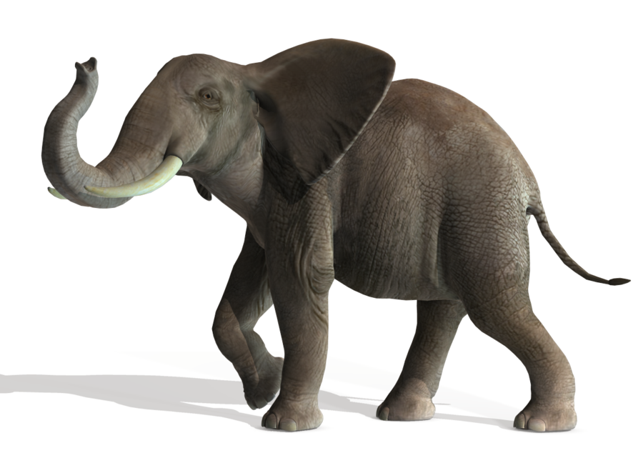 Elephant File PNG Image