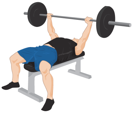 Exercise Bench Png PNG Image