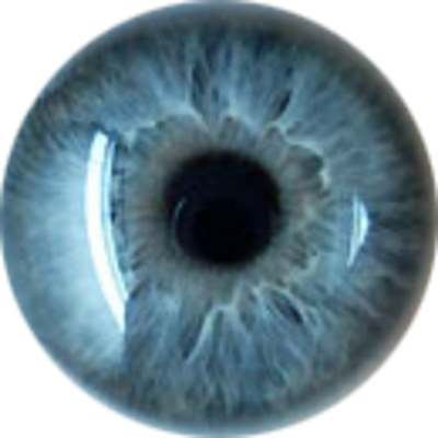 Real Eye PNG Image