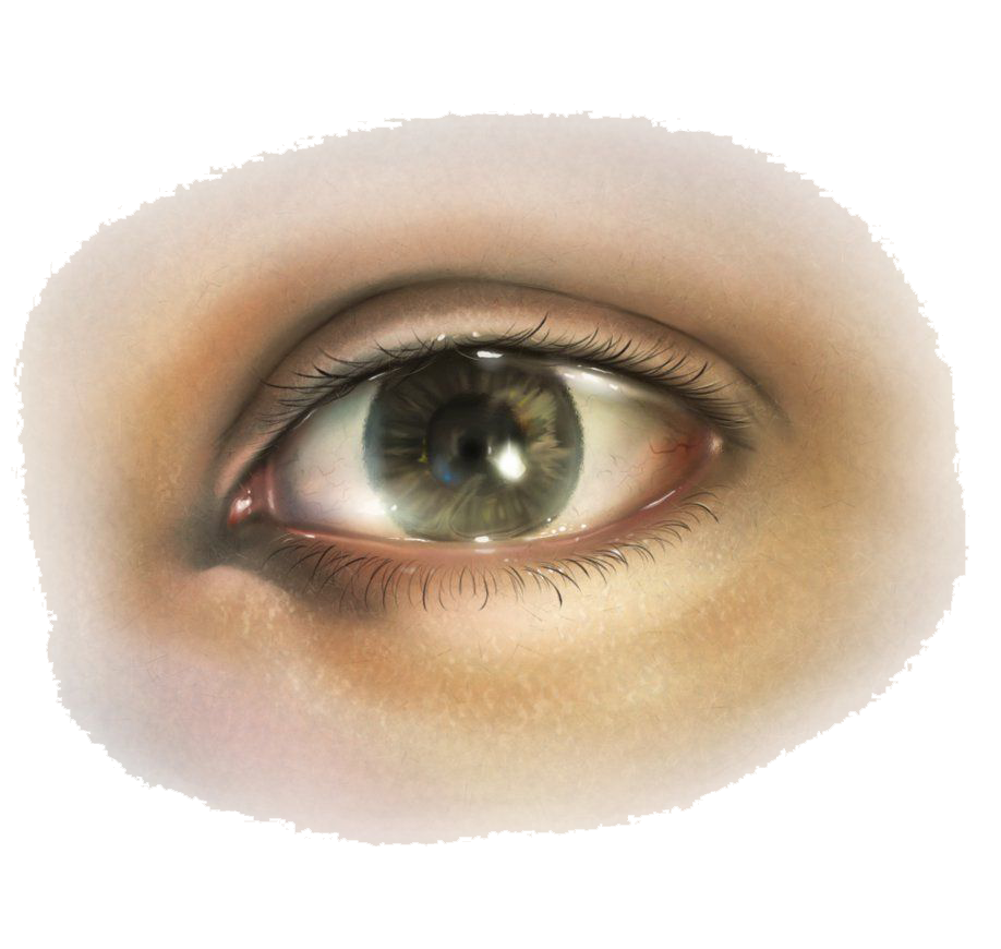 Download Human Eye HQ PNG Image | FreePNGImg