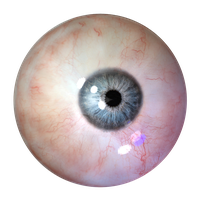 Human Eye Clipart
