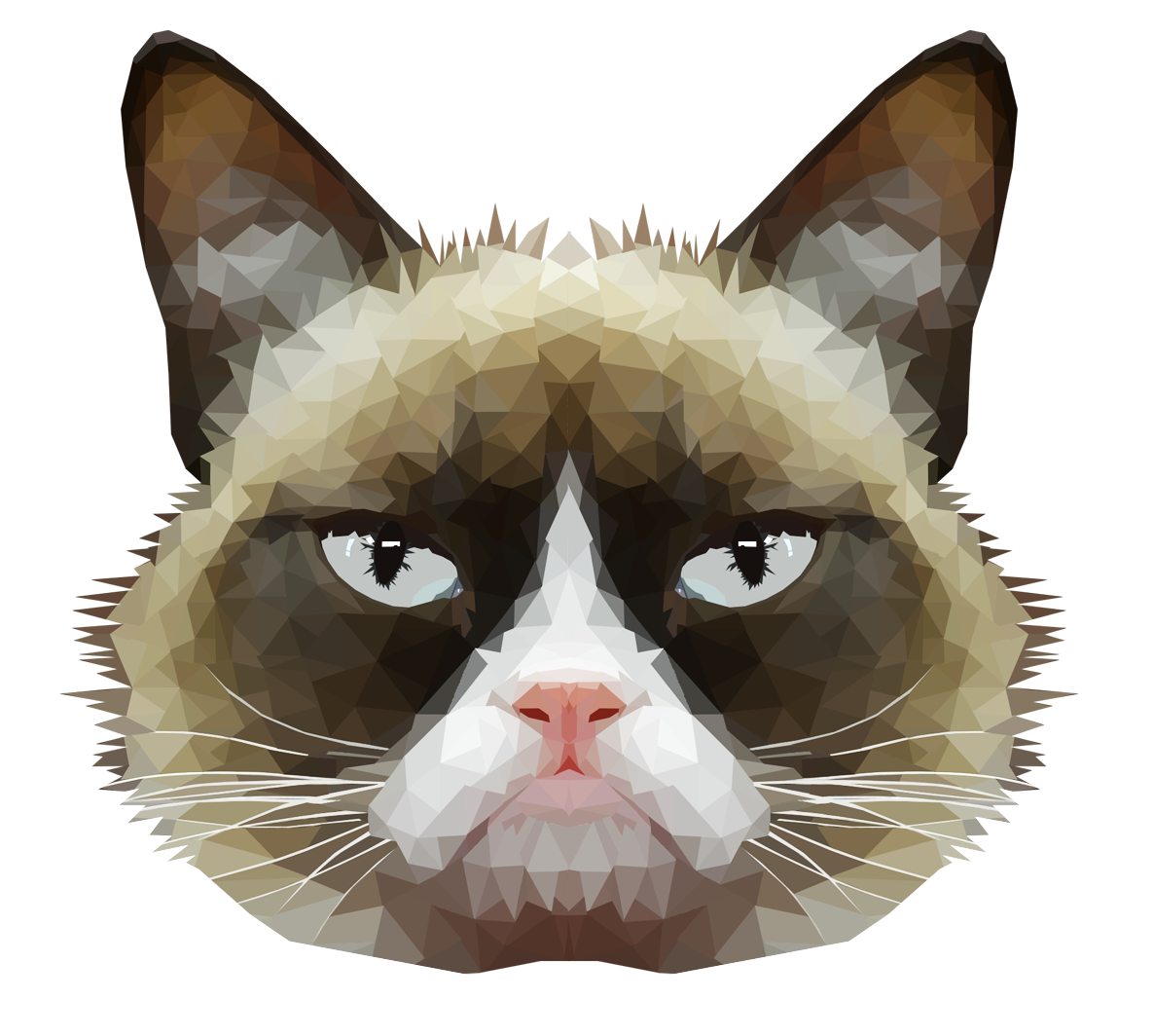 Grumpy Face Cat Free PNG HQ PNG Image