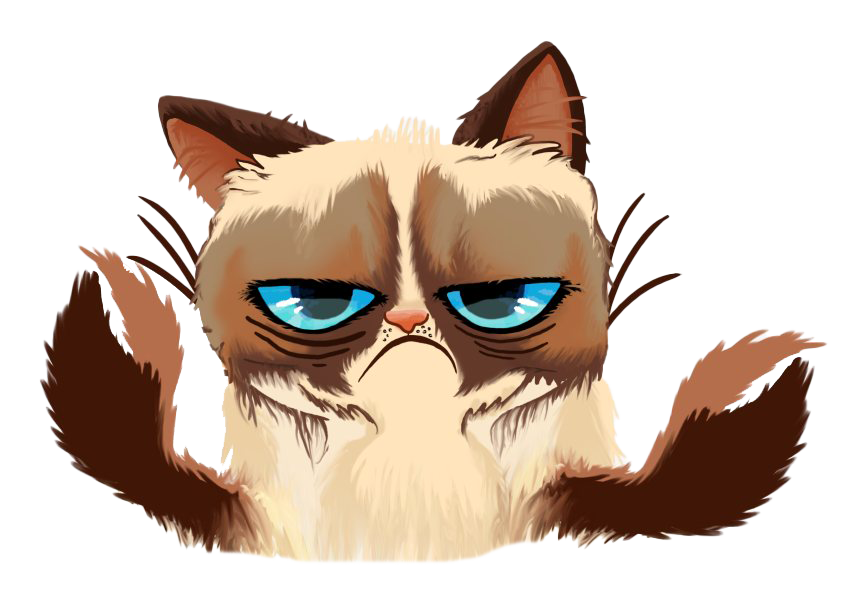 Grumpy Face Cat Download HD PNG Image