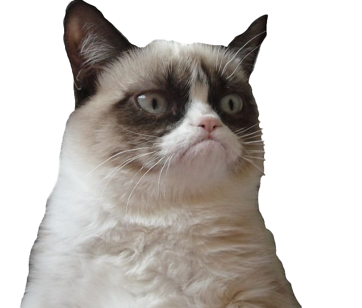 Download Picture Grumpy Face Cat Free Download PNG HD HQ PNG Image FreePNGI...