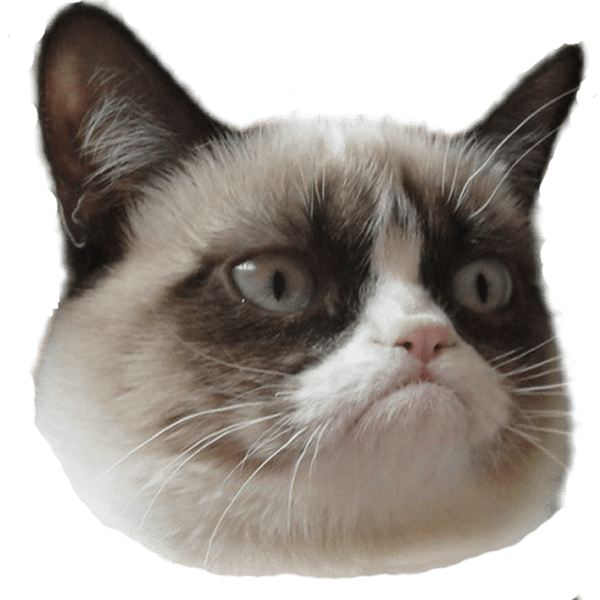 Grumpy Face Cat Free Clipart HD PNG Image