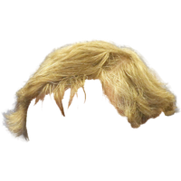 Hair Photos Hairstyle Blonde HQ Image Free