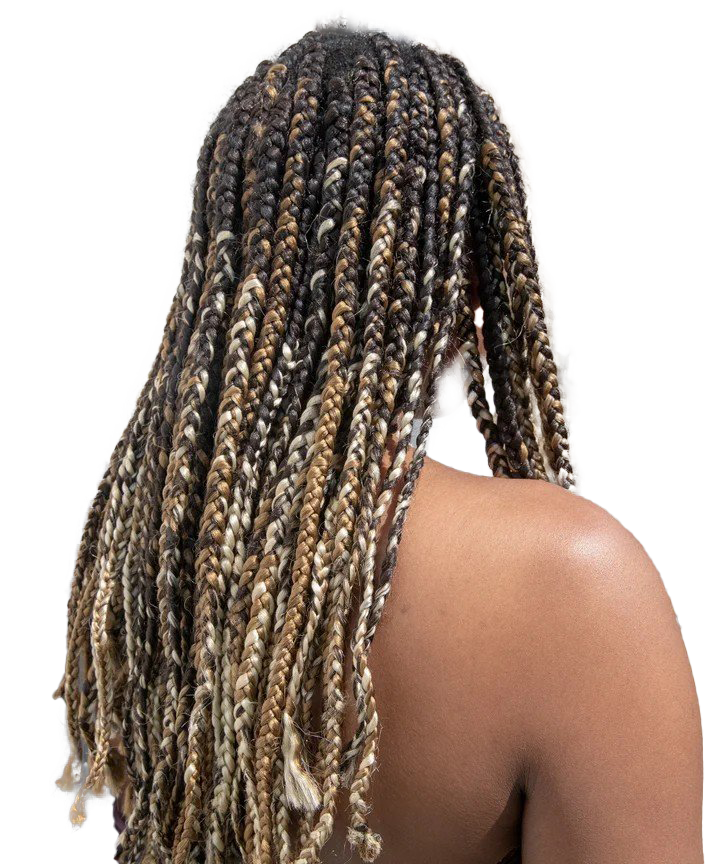 Hairstyle Braids Free Download PNG HQ PNG Image
