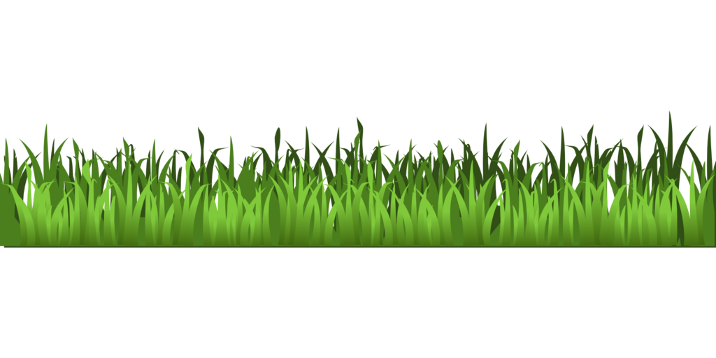 Field Grass Agriculture Free HD Image PNG Image