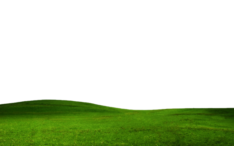 Countryside Field Green Photos Free Transparent Image HQ PNG Image